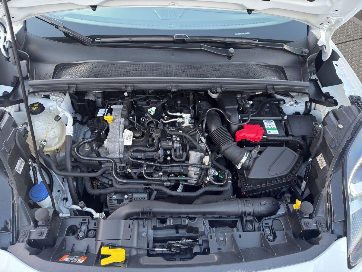 FORD - Puma - 1.0 EcoB. Hyb. 125 ST-Line Des. 2 TELECAMERA