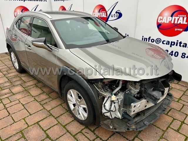 Lexus UX 250 Hybrid Business ECVT NETTO 13700