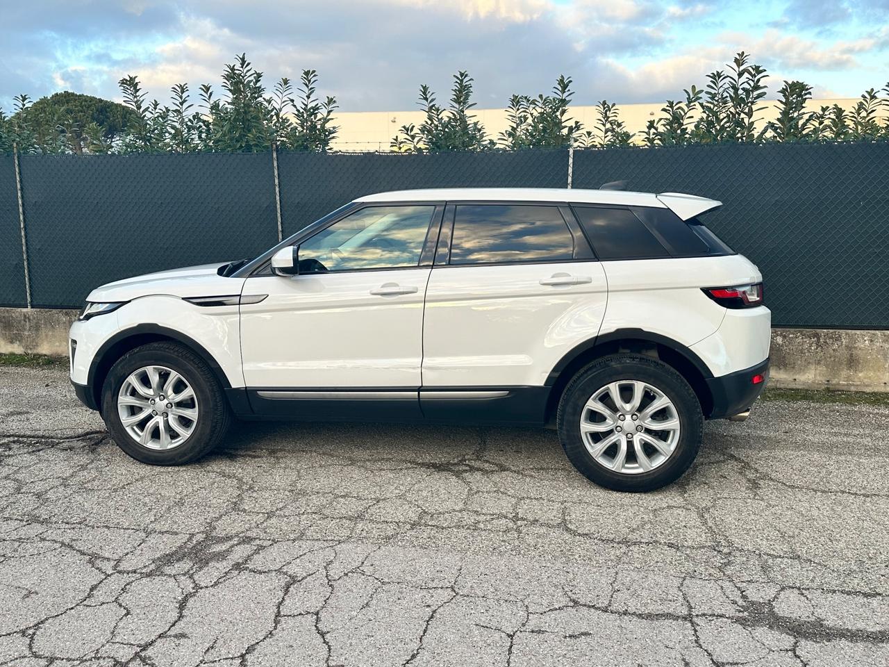 Land Rover Range Evoque 2.0 TD4 180 CV 5p. Business Edition Pure