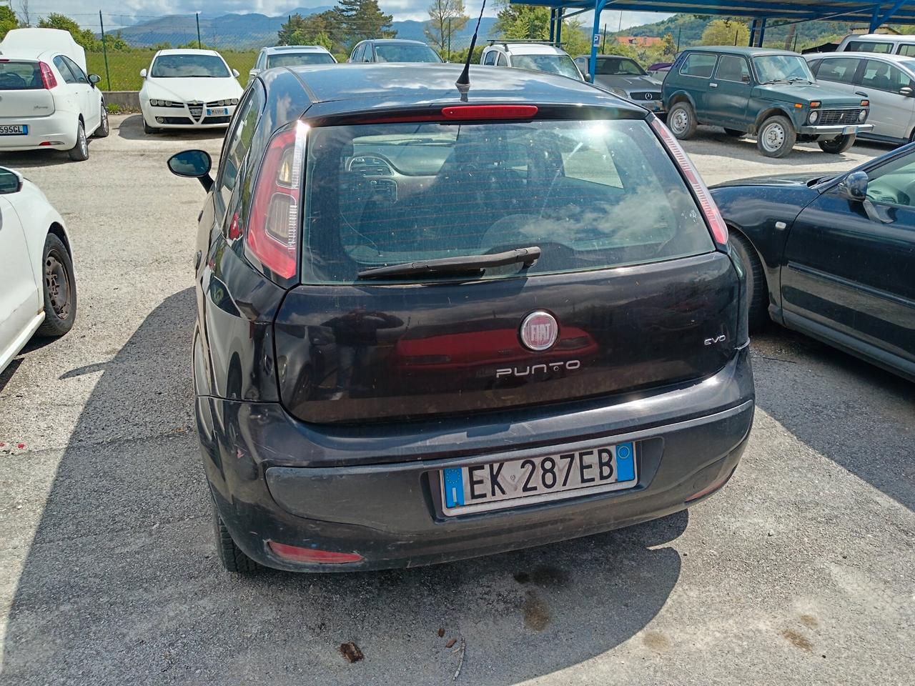 Fiat Punto Evo Punto Evo 1.2 5 porte S&S MyLife