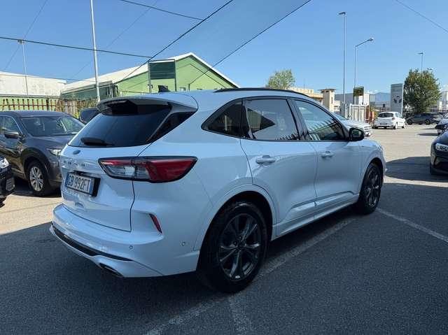 Ford Kuga 1.5 ecoblue ST-Line 2wd 120cv auto