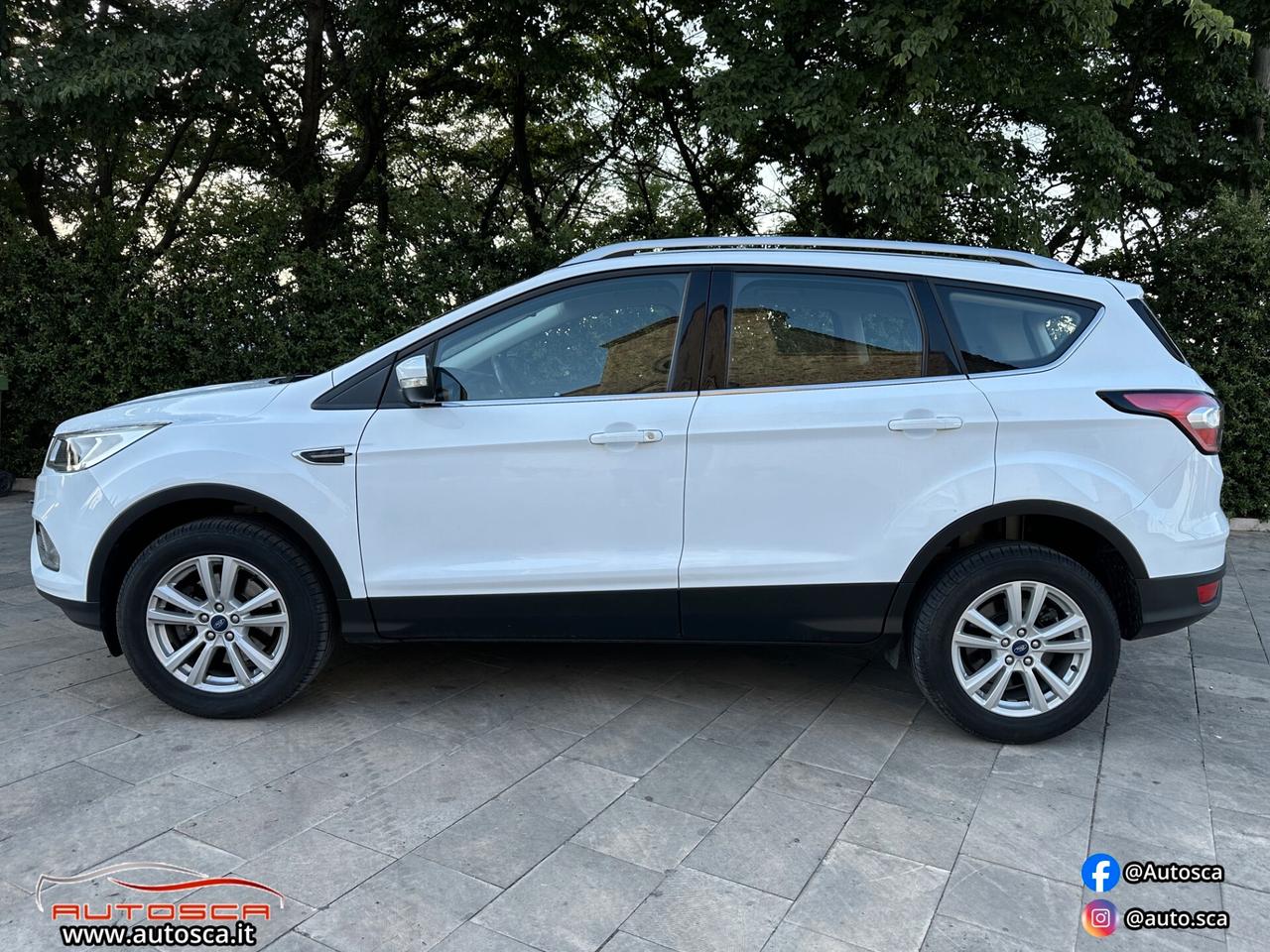 Ford Kuga 1.5 TDCI 120 CV Titanium Business 2018