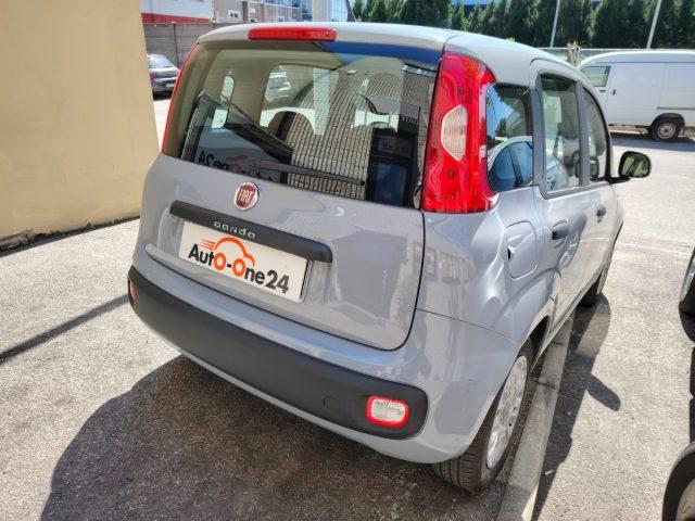 FIAT Panda 1.2 Pop PREZZO REALE - NEOPATENTATI