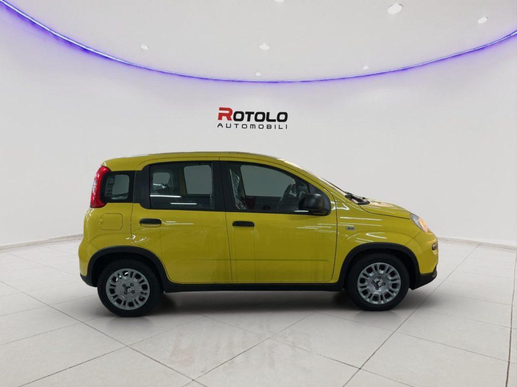FIAT Panda 3ª serie Panda 1.0 FireFly S&S Hybr...