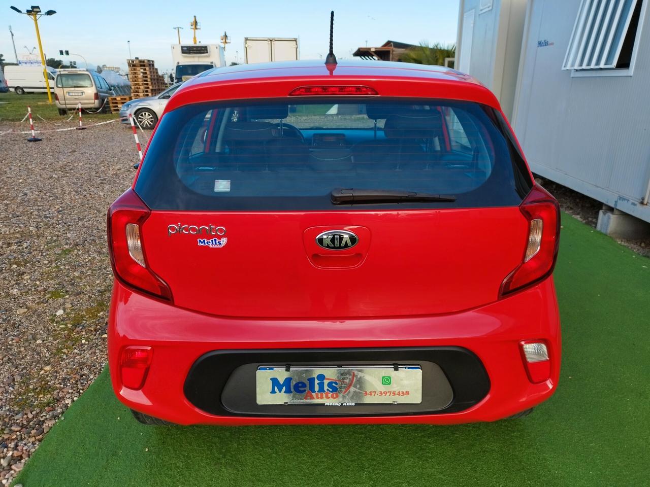 Kia Picanto 1.0 12V 5 porte X Line ok neopatentati