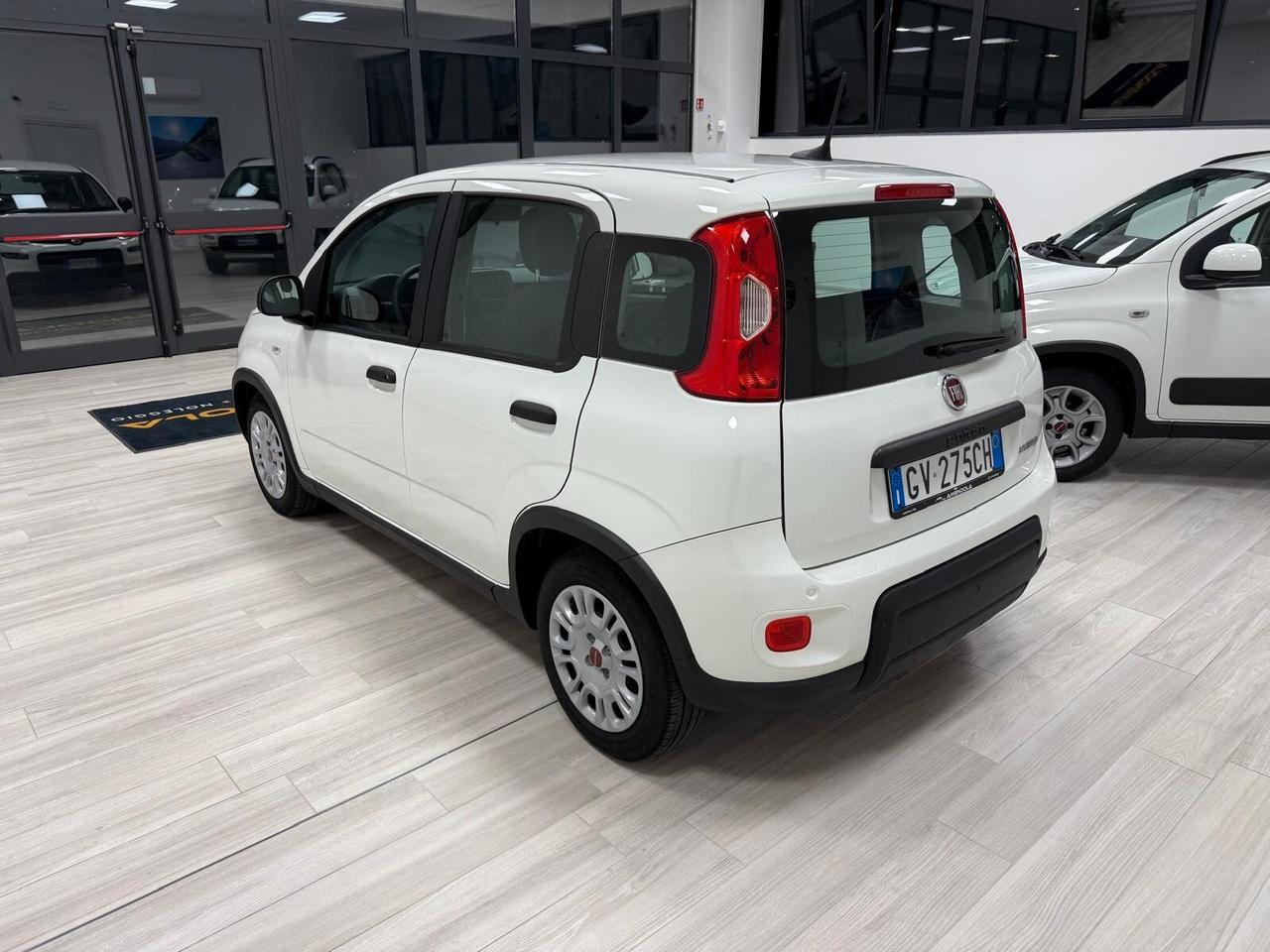 Fiat Panda FyreFly Hybrid S&S