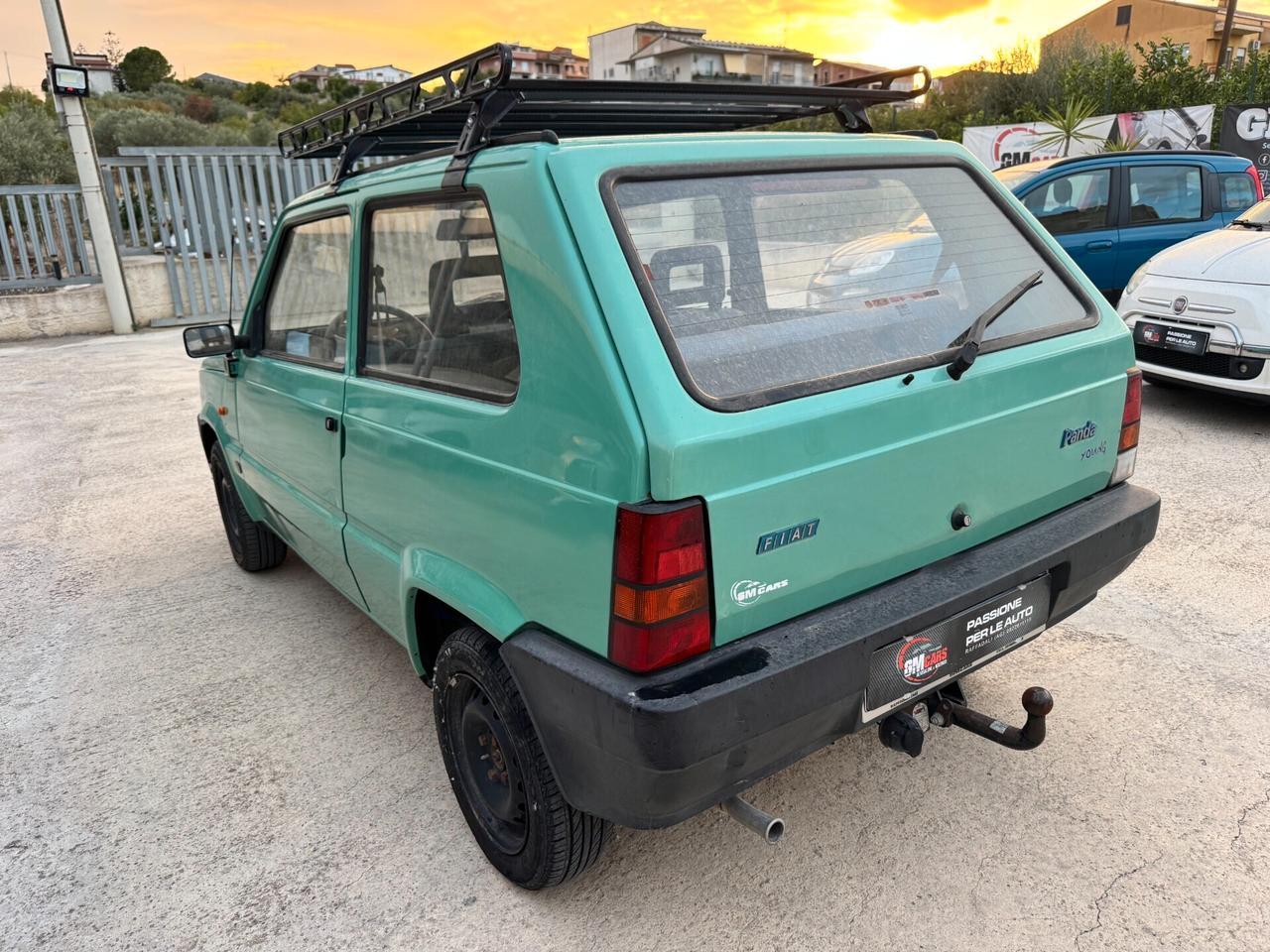 Fiat Panda 1100 i.e. cat Young
