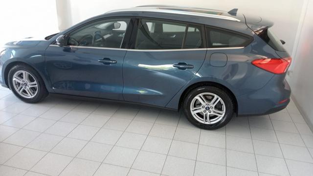 FORD Focus 1.5 EcoBlue 120 CV SW Business