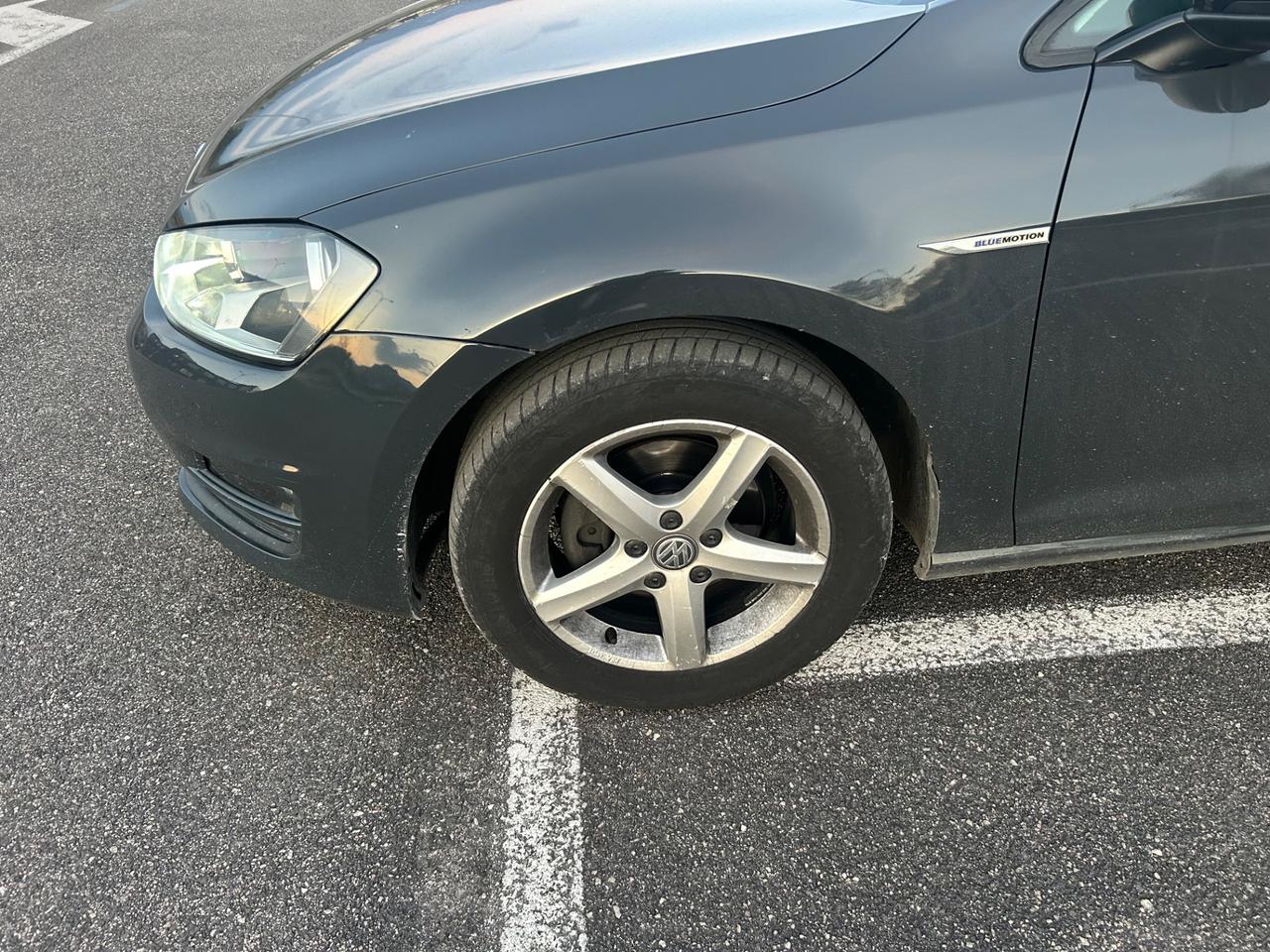 Volkswagen Golf serie 7 - 1.4 TGI 5p. Executive BlueMotion