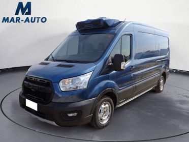 Ford Transit Transit 350 2.0TDCi EcoBlue 170CV L3H2 Trail FRIGO +IVA