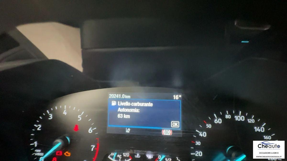 FORD - Focus - 1.0 EcoBoost 125 CV S&S ST Line