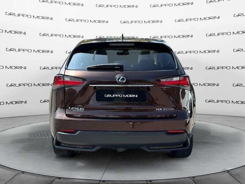 Lexus NX NX 300h 2.5 Luxury 4wd cvt