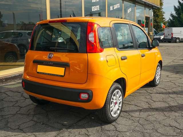 Fiat Panda Panda 1.2 69cv Easy