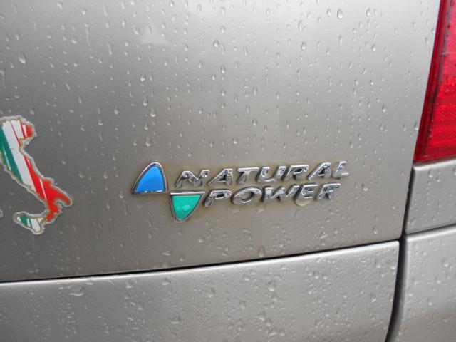 FIAT Multipla 1.6 16V Natural Power Dynamic