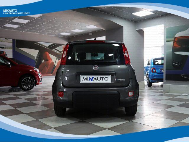 FIAT Panda Hybrid 1.0 FireFly 70cv Easy EU6