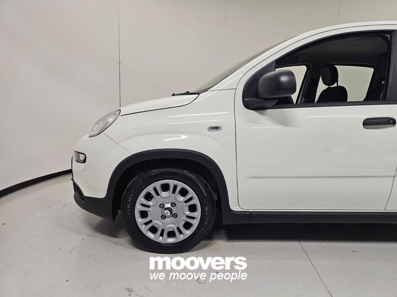 FIAT Panda 3ª serie 1.0 FireFly S&S Hybrid PANDINA