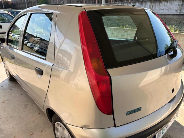 FIAT Punto 1.2i cat 5 porte EL OK NEOPATENTATI BENZINA