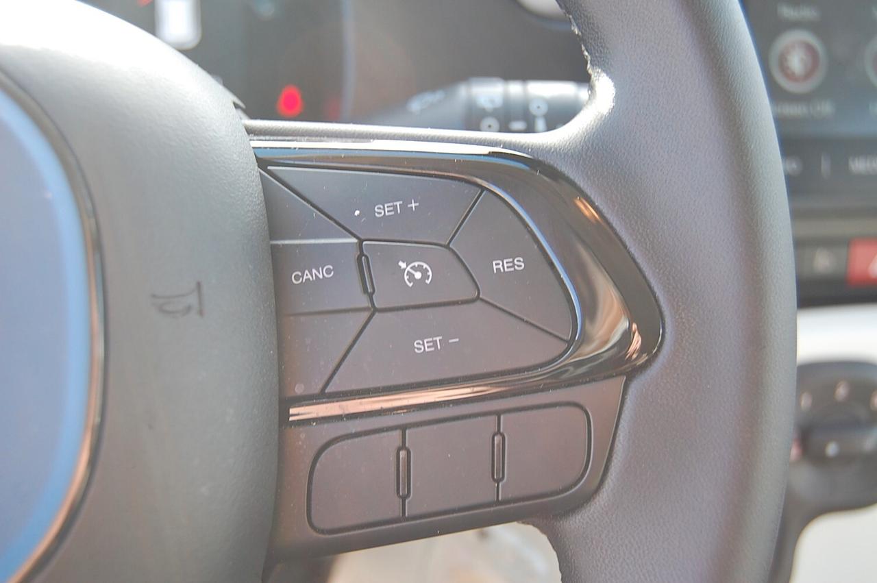 Fiat Panda Cross 1.0 FireFly S&S Hybrid