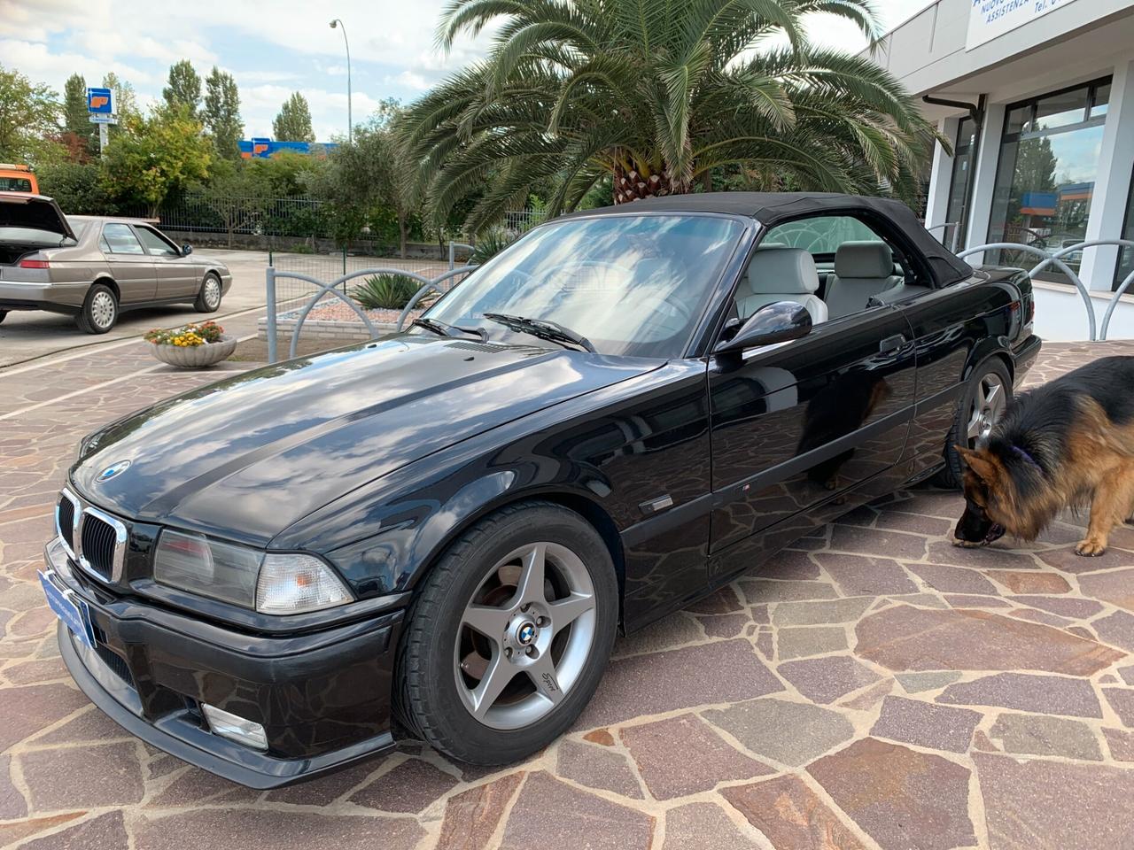 Bmw 318 318i cat Cabriolet