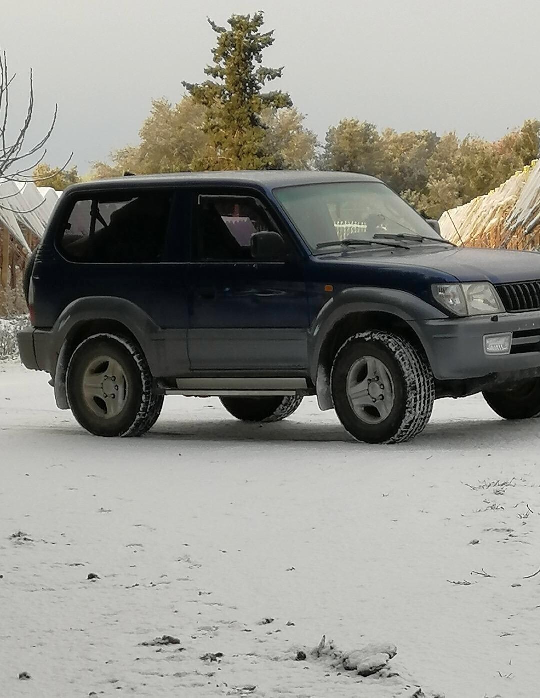 Toyota Land Cruiser 3.0 Tdi D-4D - 2001