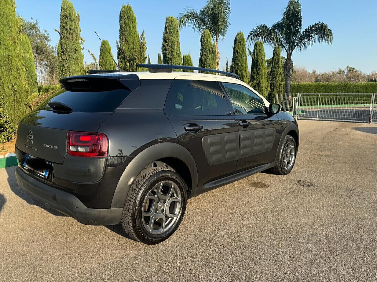 Citroen C4 Cactus PureTech 110 S&S Feel