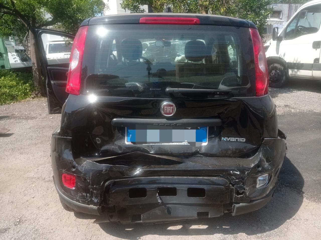 Fiat Panda 1.0 FireFly S&S Hybrid 9000km-2024