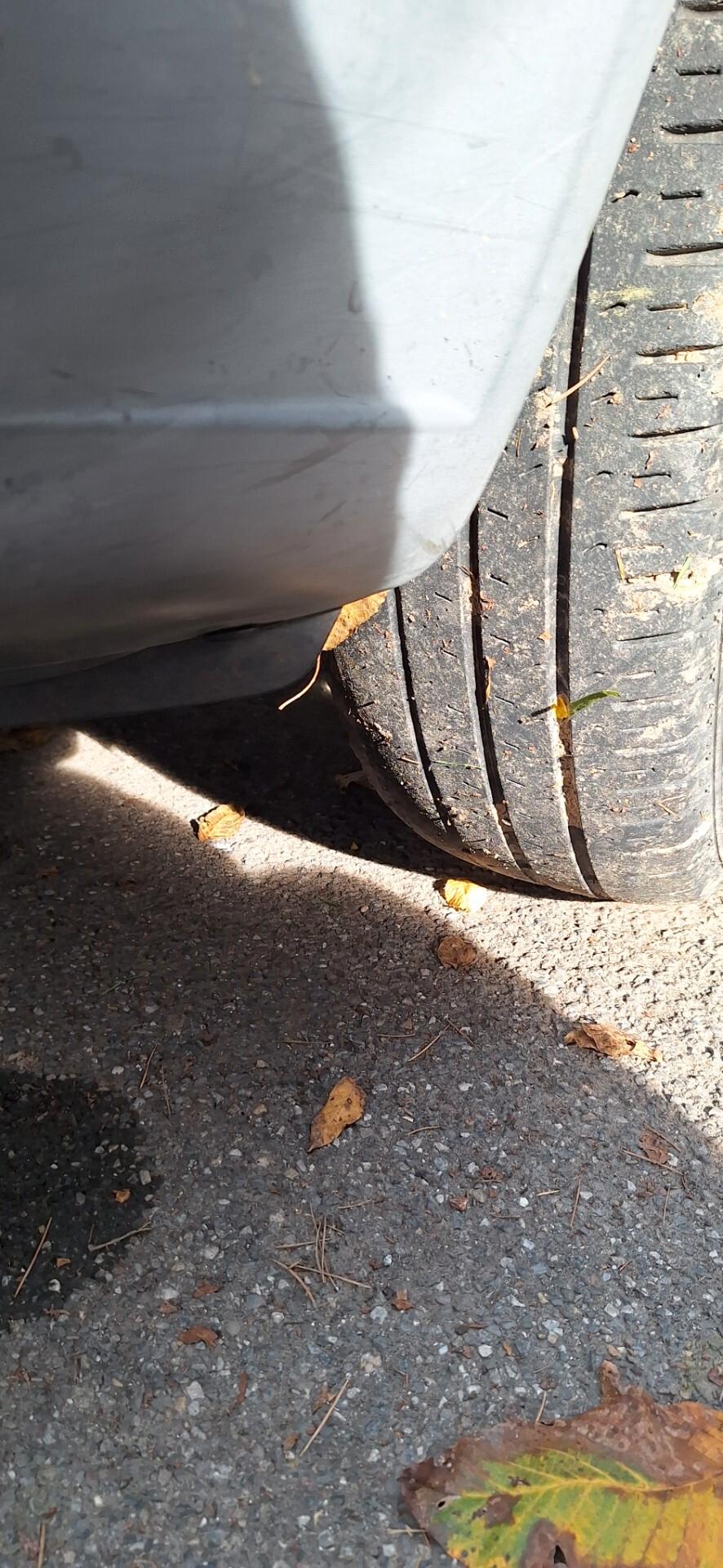 Mercedes-benz Sprinter T37/35 310 CDI Cabinato