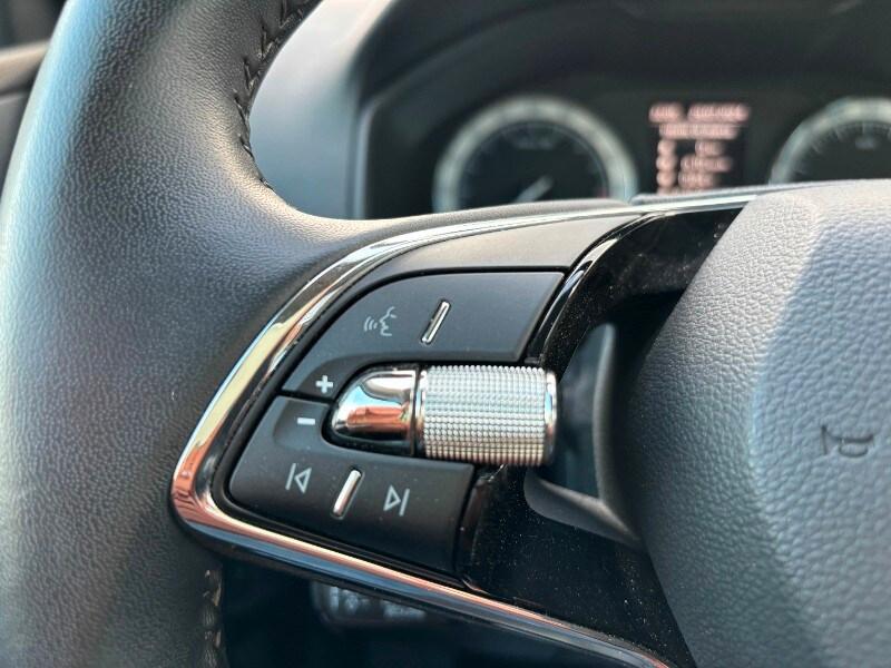 SKODA Karoq Karoq 2.0 TDI SCR 4x4 DSG Executive