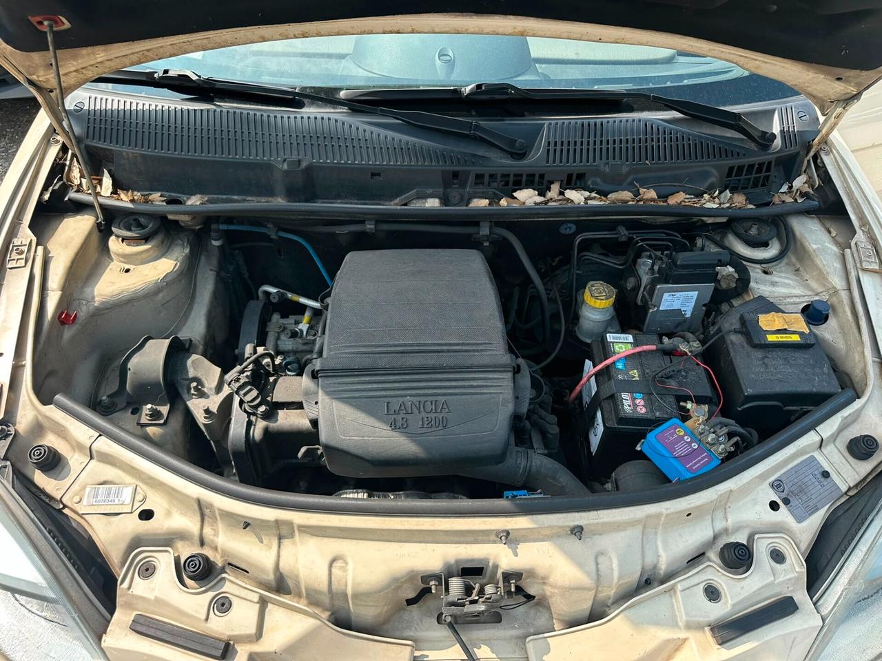 Lancia Ypsilon 1.2