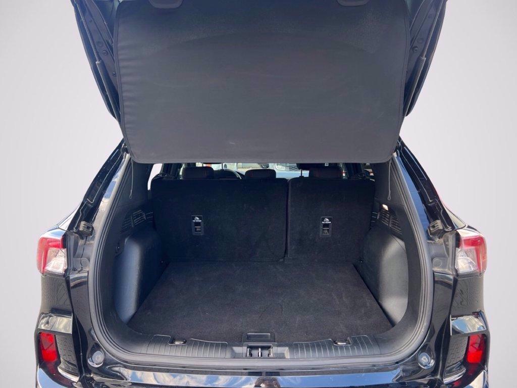 FORD Kuga 2.5 Full Hybrid 190 CV CVT 2WD ST-Line del 2022