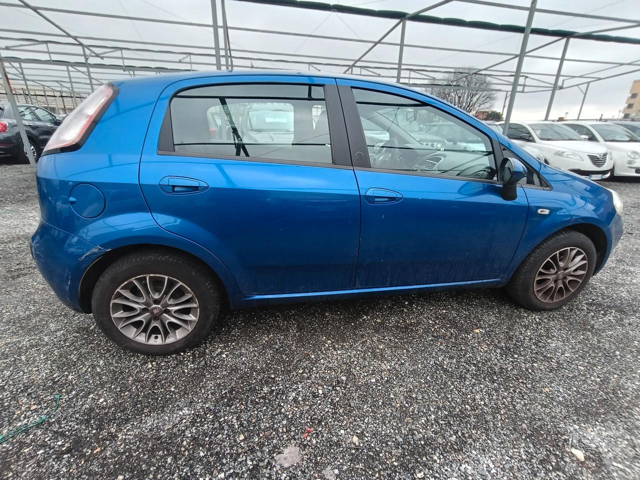 Fiat Punto Evo 1.2 5 porte S&S Dynamic