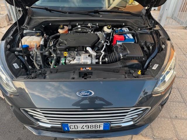 Ford Focus 1.5 EcoBlue 120 CV automatico SW Business Co-Pilot