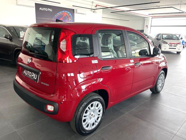 FIAT Panda 1.0 Hybrid 70 CV KM0 MY25