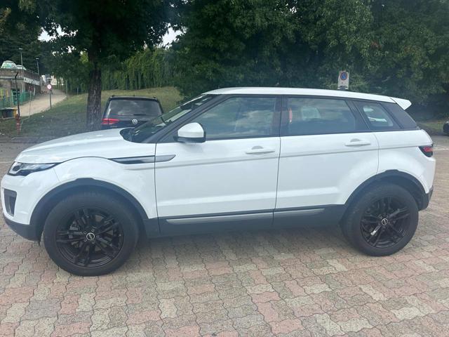 LAND ROVER Range Rover Evoque 2.0 TD4 150CV 5p. Pure senza nessun lavoro da fare