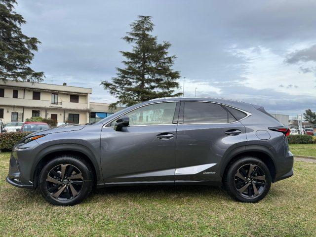 LEXUS NX 300 Hybrid 4WD Premium NAVI - LED - PELLE - TELEC - 18