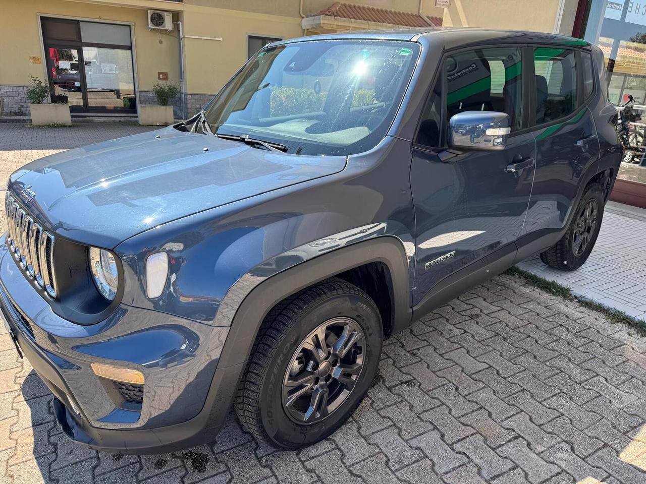 Jeep Renegade 1.6 Mjt DDCT 120 CV Business
