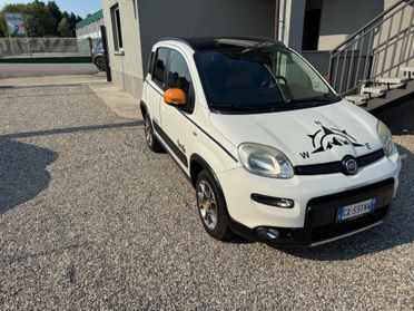 Fiat Panda 1.3 MJT S&S 4x4 ANTARTICA SERIE LIMITATA