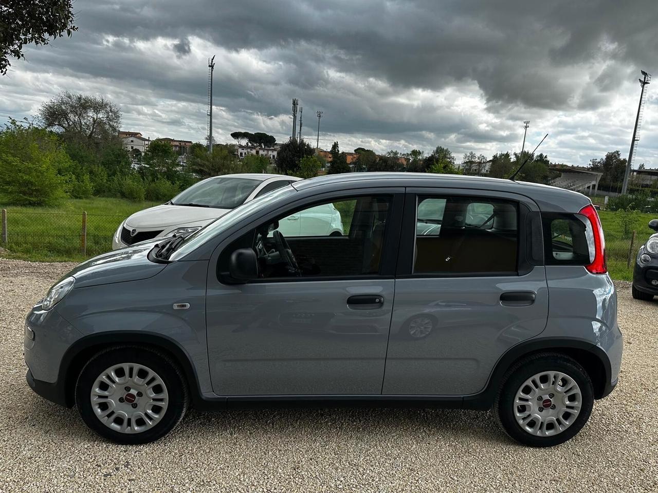 FIAT PANDA 1.0 FIREFLY S&S HYBRID PREZZO REALE