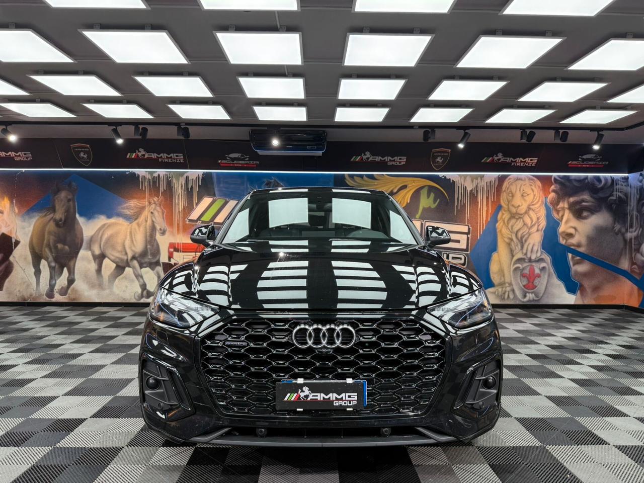 Audi Q5 SPB 40 TDI quattro S tronic line plus (463)