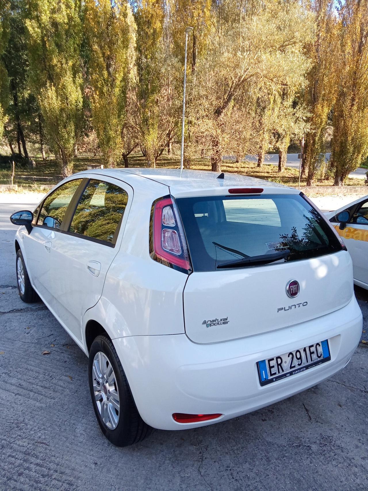 Fiat Punto 1.4 8V 5 porte Natural Power Street 013