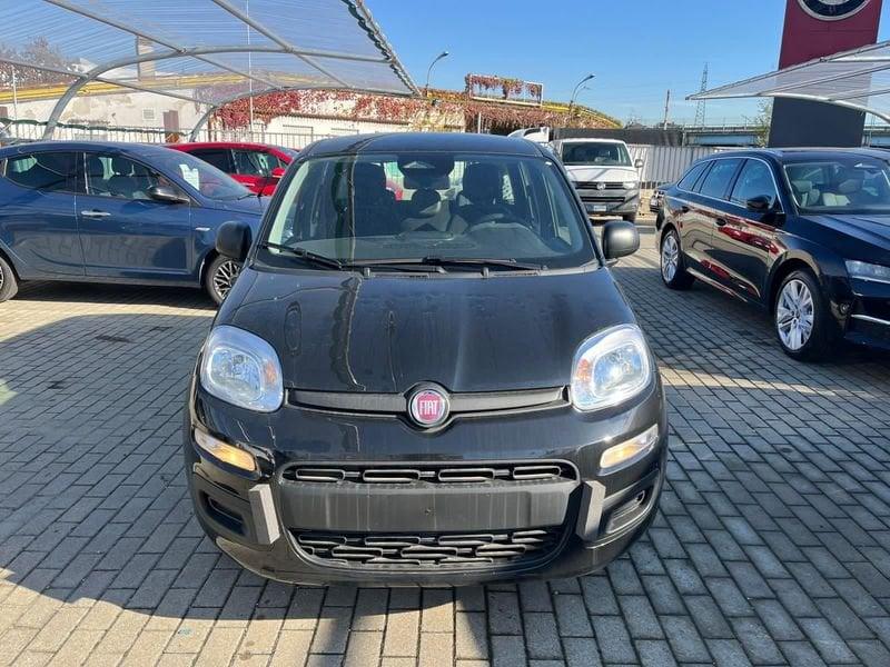 FIAT Panda Panda 1.0 FireFly S&S Hybrid Icon