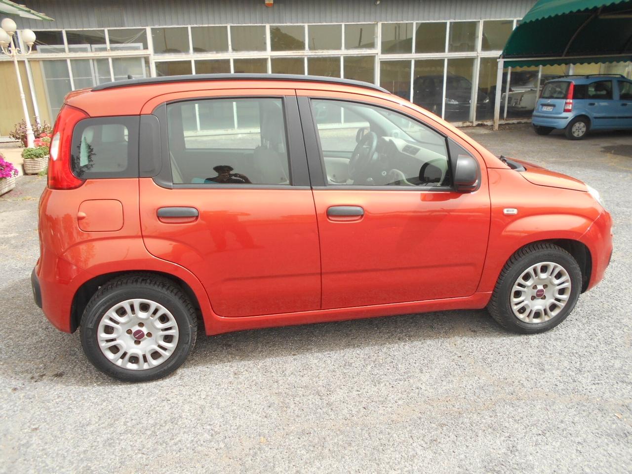 Fiat Panda 1.2 Lounge 5 POSTI NEOPATENTATI