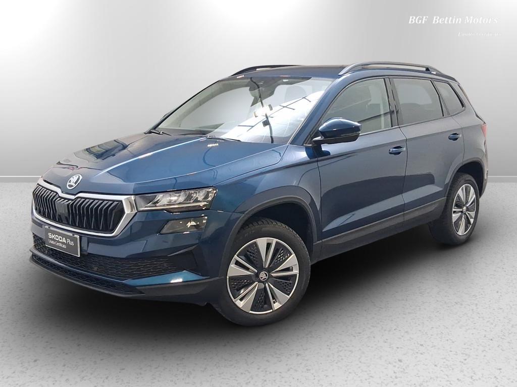 Skoda Karoq 2.0 tdi evo Executive 115cv dsg