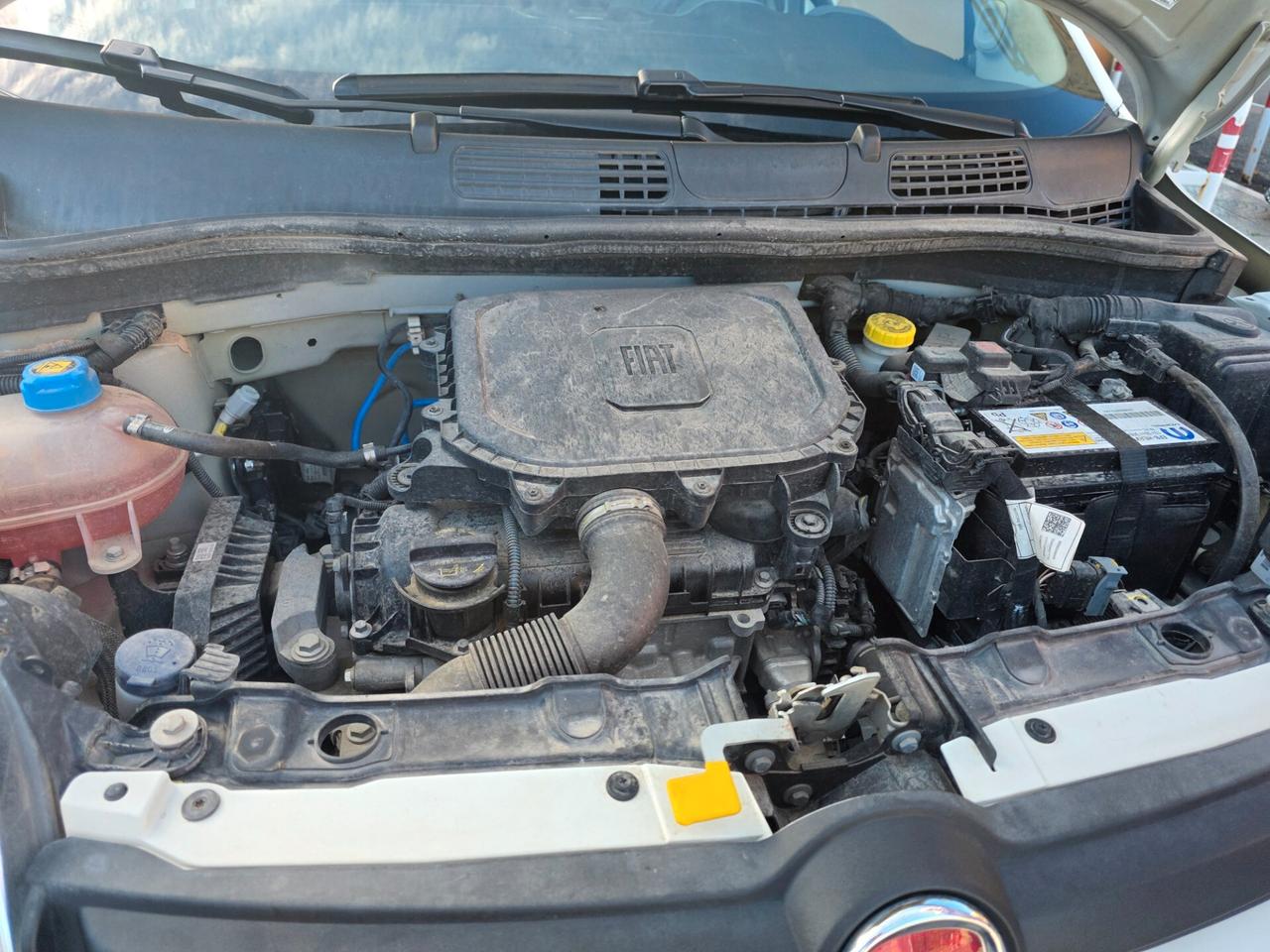 Fiat Panda 1.0 FireFly S&S Hybrid City Life Uniproprietario