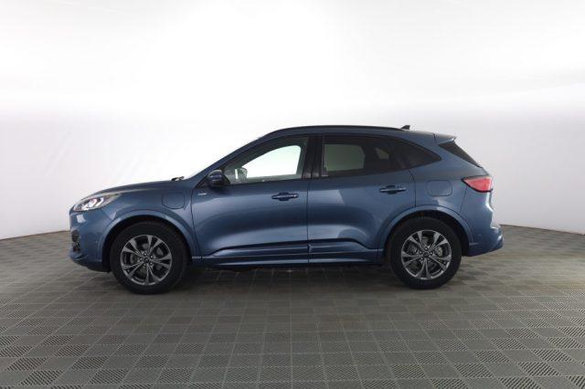 FORD Kuga Kuga 2.5 Plug In Hybrid 225 CV CVT 2WD ST-Line