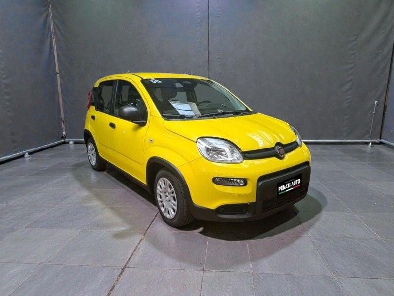FIAT Panda Panda 1.0 FireFly S&S Hybrid Pop
