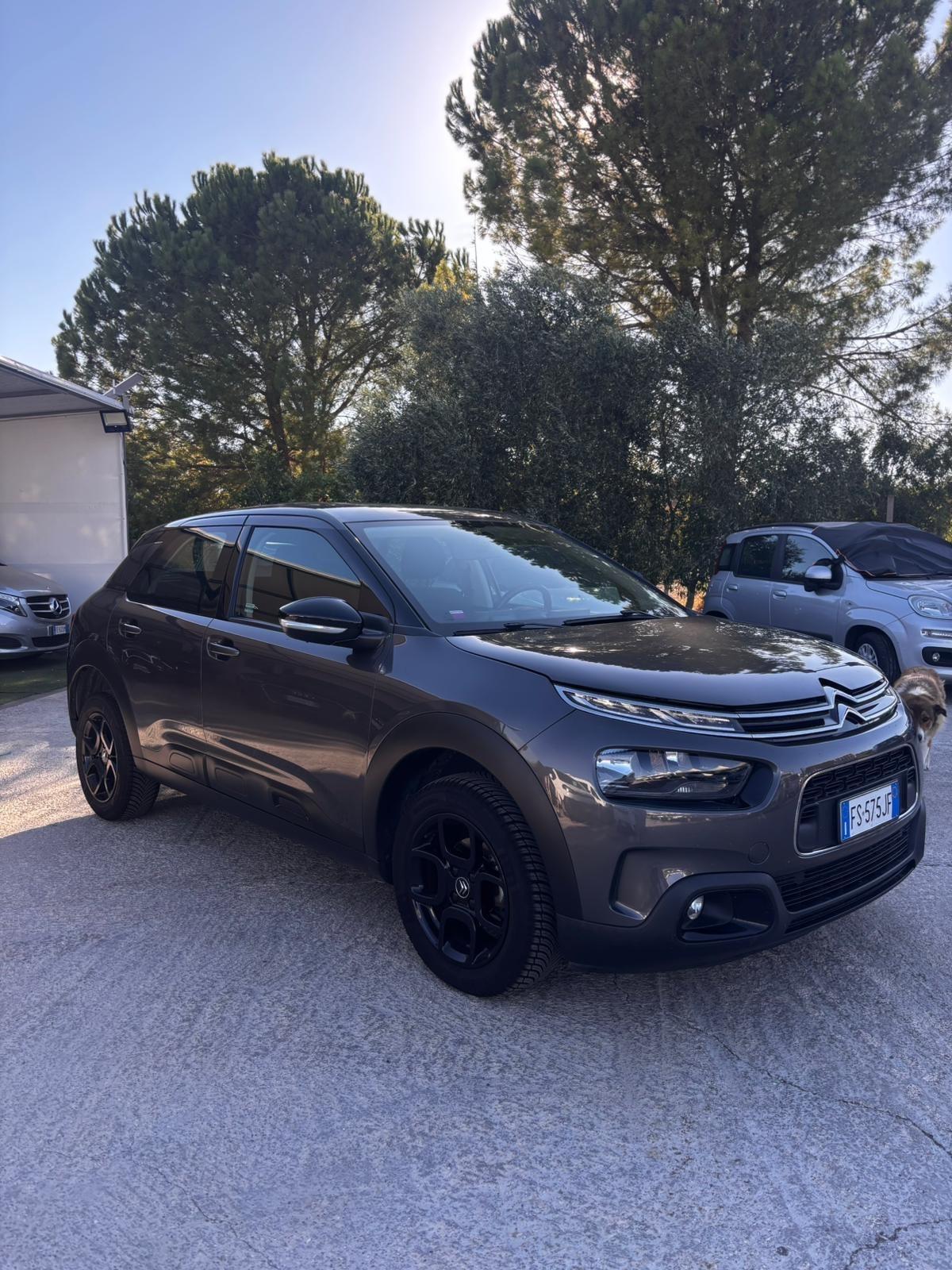 Citroen C4 Cactus BlueHDi 100 S&S ETG6 Feel
