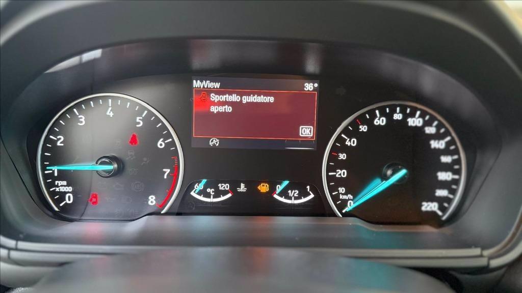 FORD Ecosport 1.0 ecoboost active s&s 125cv del 2022