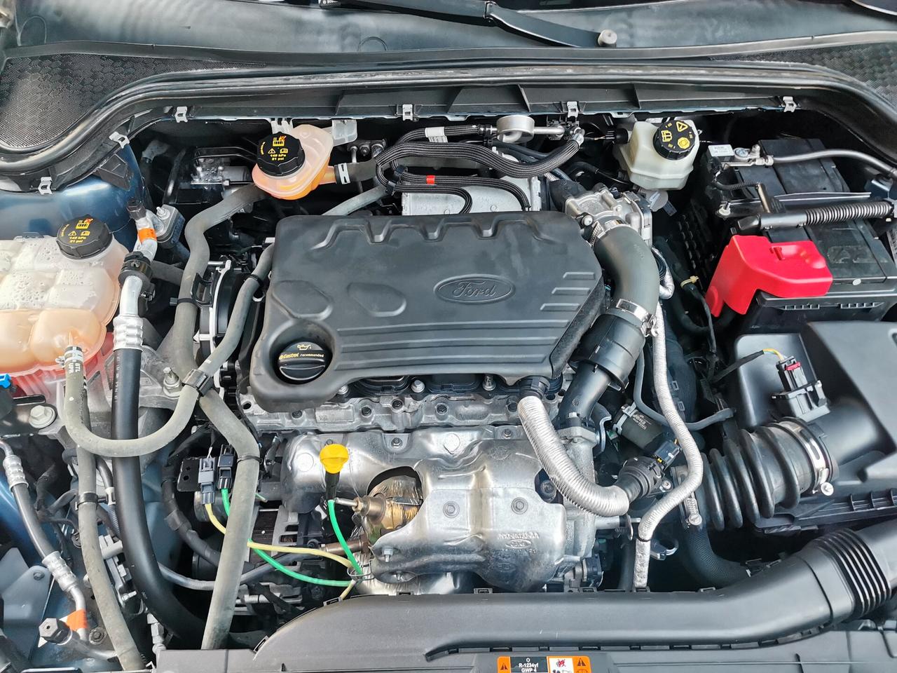 Ford Focus 1.5 EcoBlue 120cv 5p. ST-Line