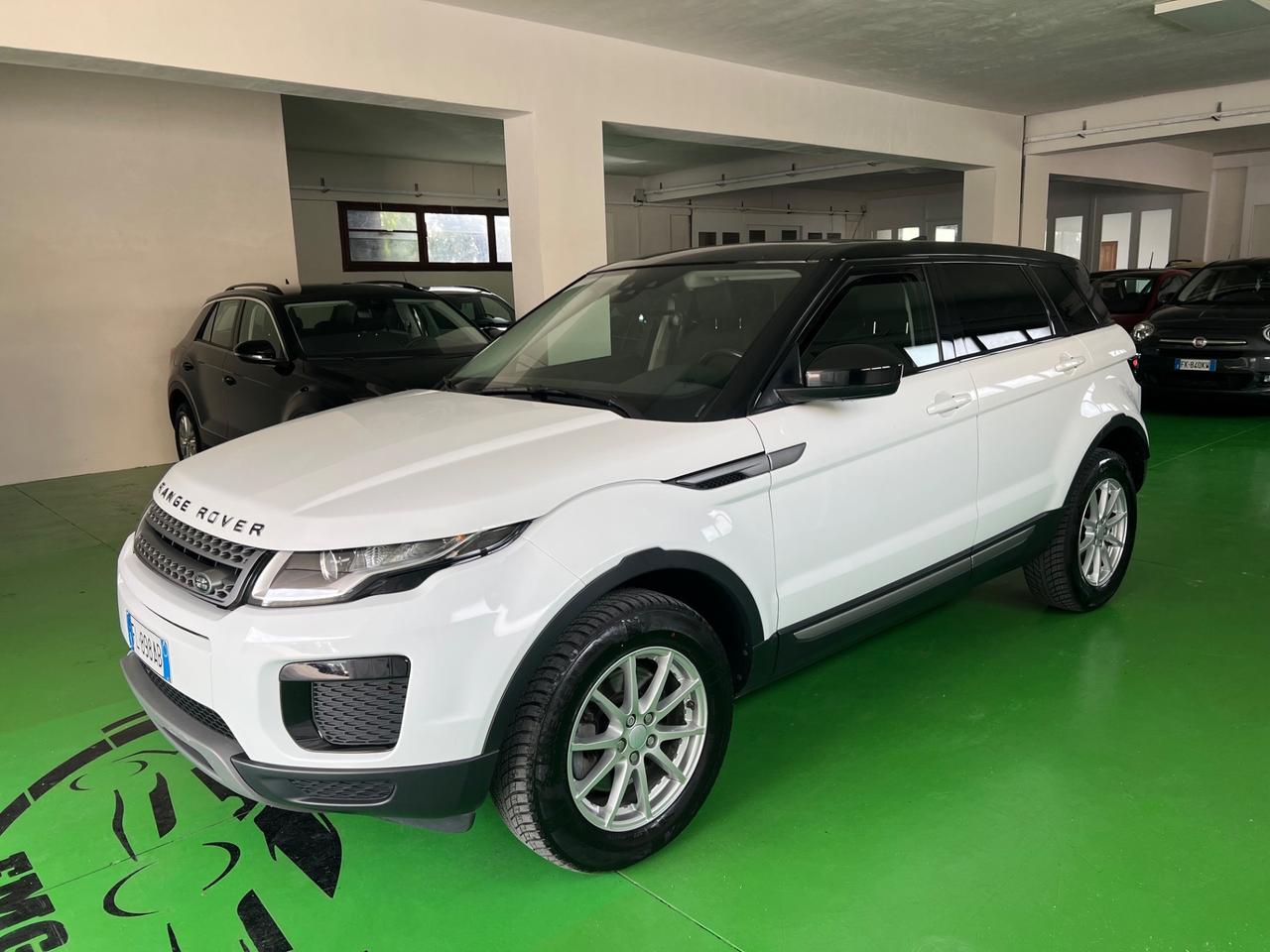 Land Rover Range Evoque 2.0 TD4 150 CV 5p. Business Edition Pure
